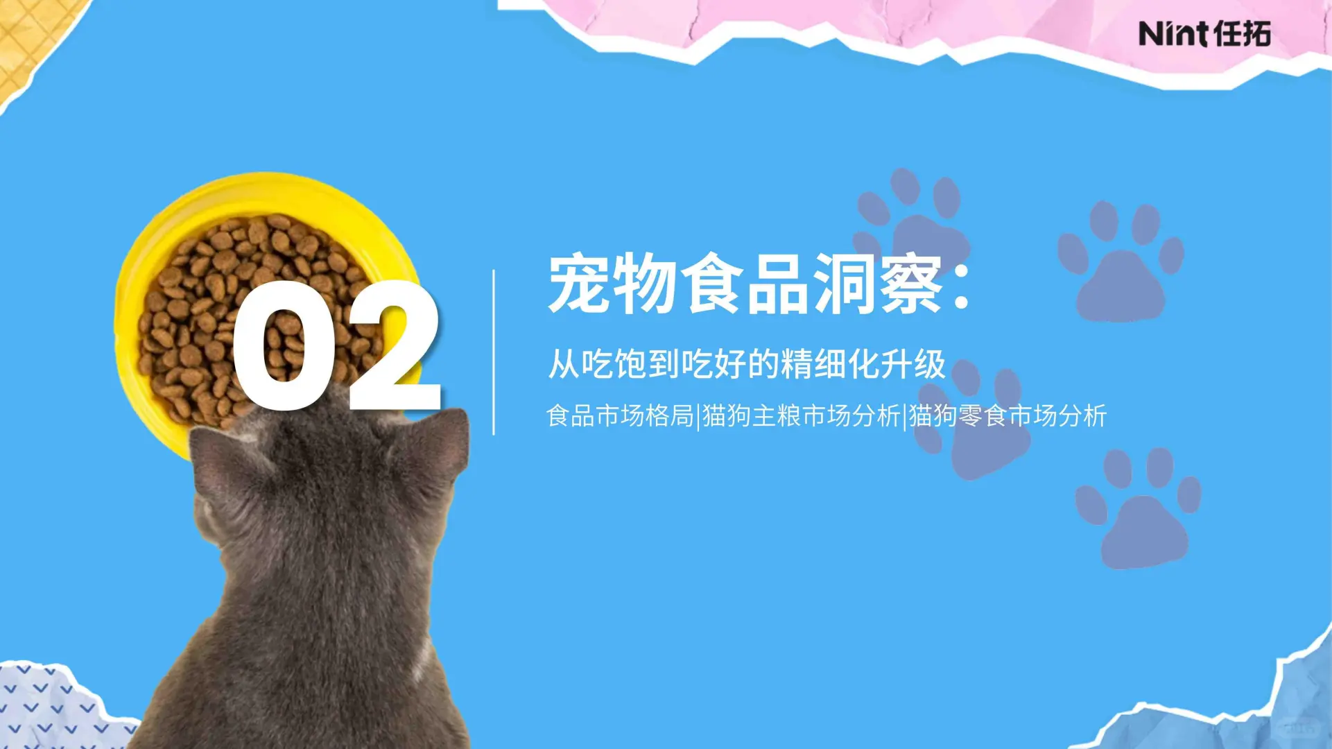 32 页报告 | 2025 年宠物电商市场分析报告