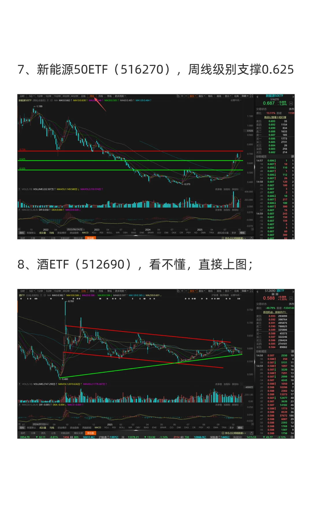 11月市场展望（2025年）