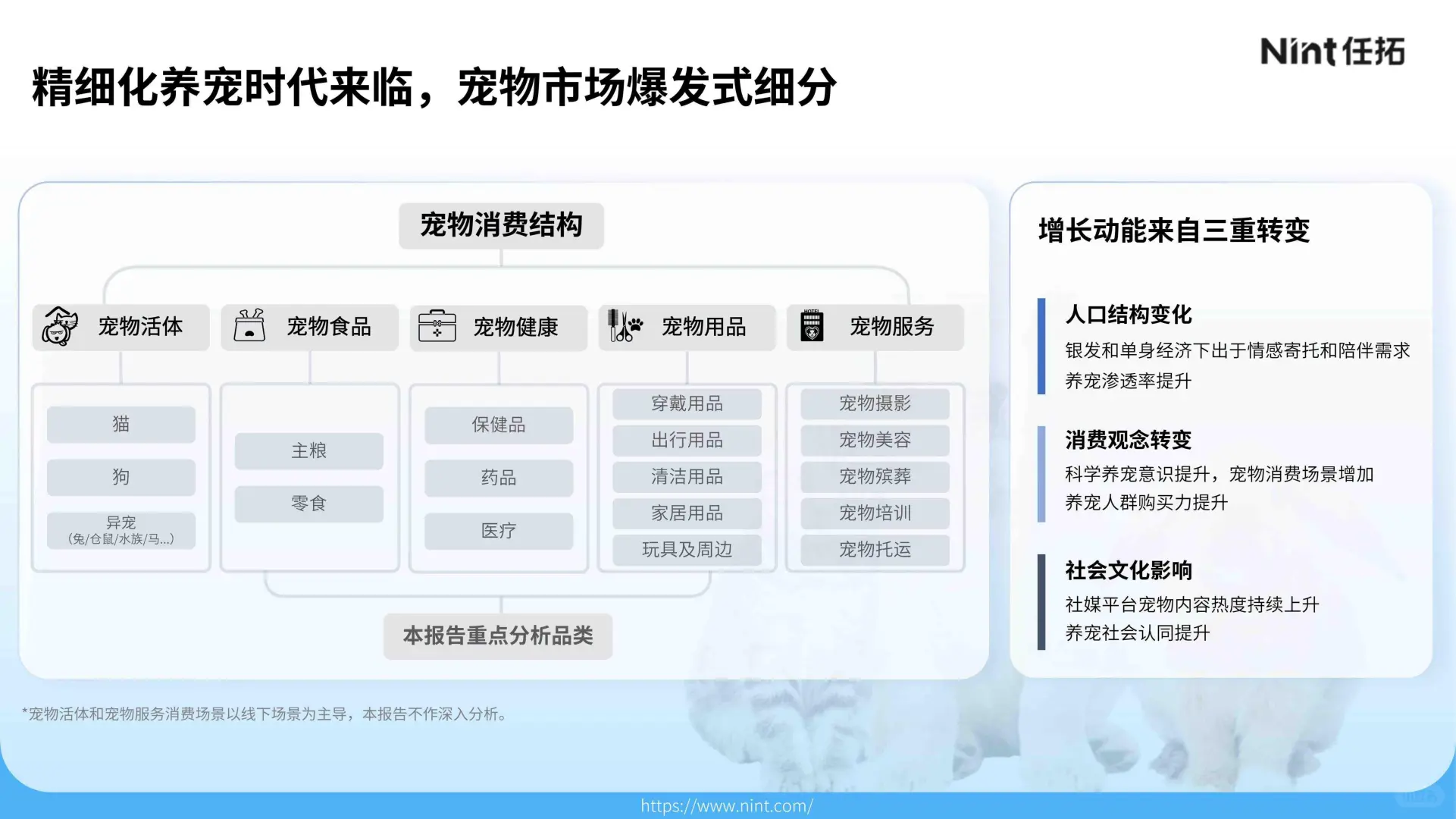 32 页报告 | 2025 年宠物电商市场分析报告
