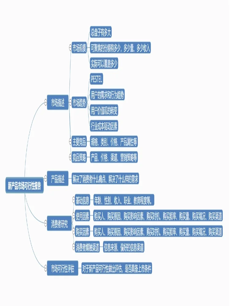 新产品市场可行性报告