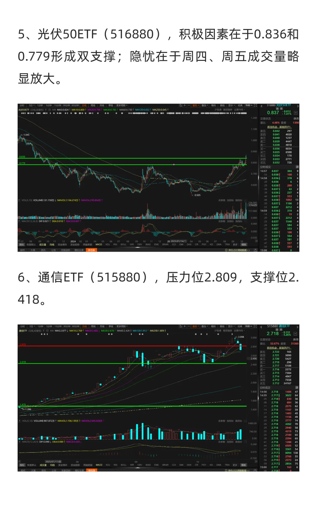 11月市场展望（2025年）