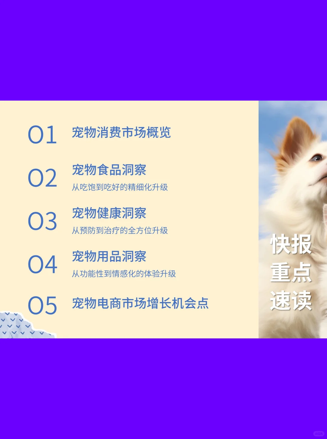 32页报告| 2025宠物电商市场分析