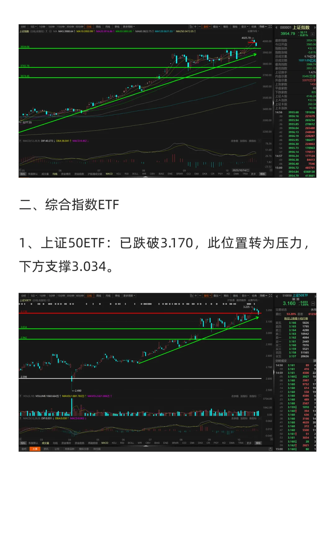 11月市场展望（2025年）