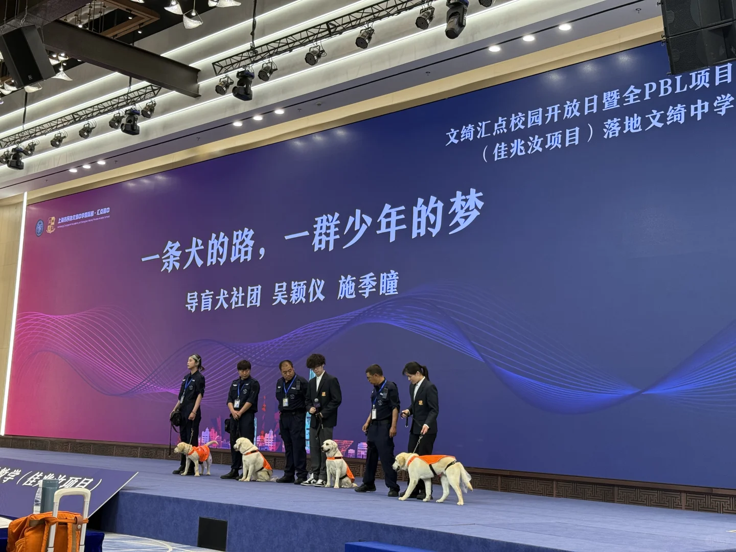 ✨文绮汇点开新课啦！