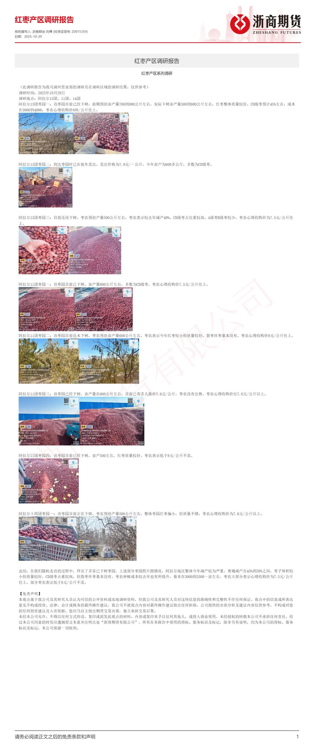红枣调研报告