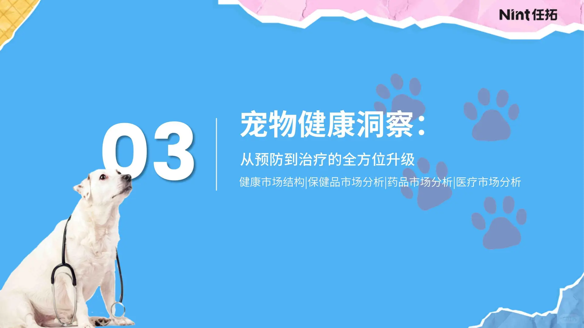 32 页报告 | 2025 年宠物电商市场分析报告