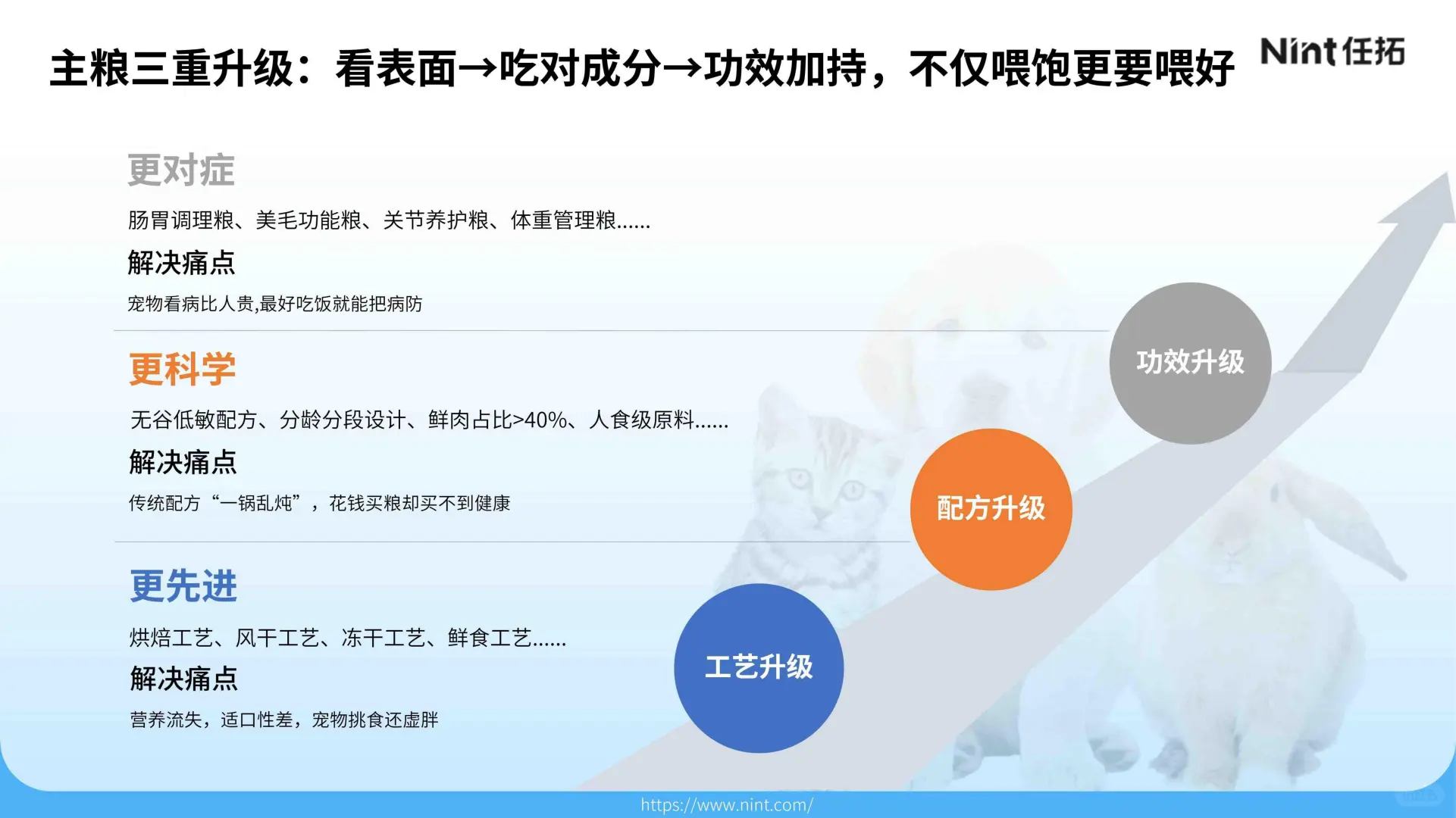 32 页报告 | 2025 年宠物电商市场分析报告