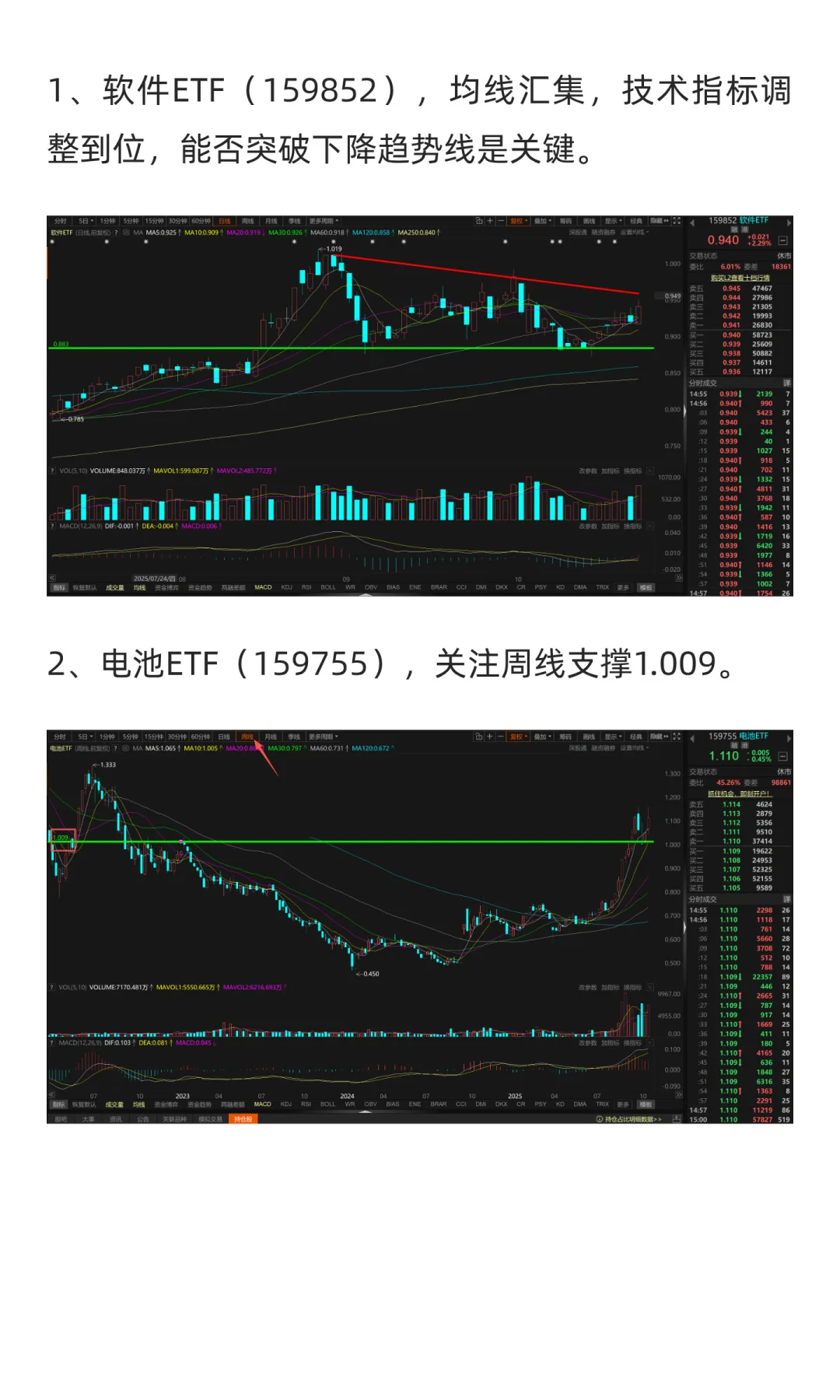 11月市场展望（2025年）