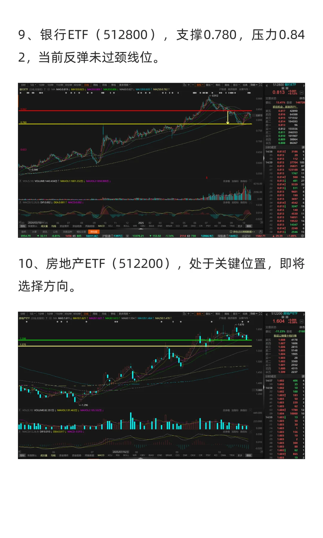 11月市场展望（2025年）