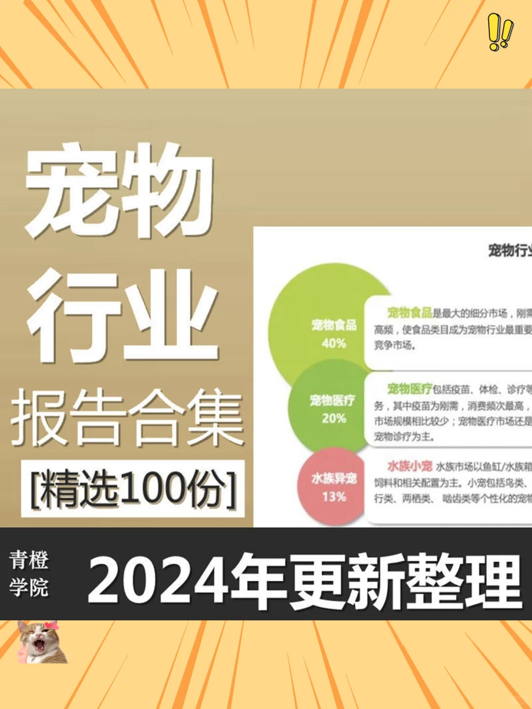宠物行业报告2024最新数据分析市场研究