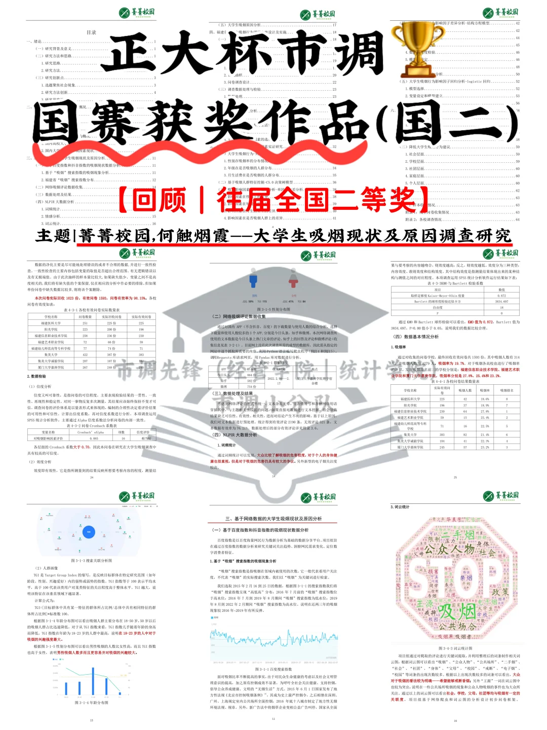 正大杯市调大赛｜国赛获奖作品学习｜国二
