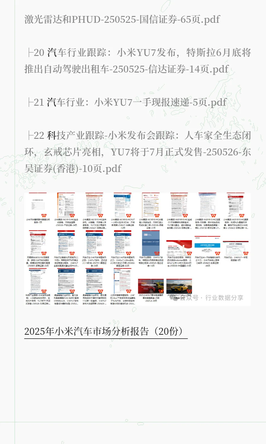 2025年小米汽车市场分析报告（20份）