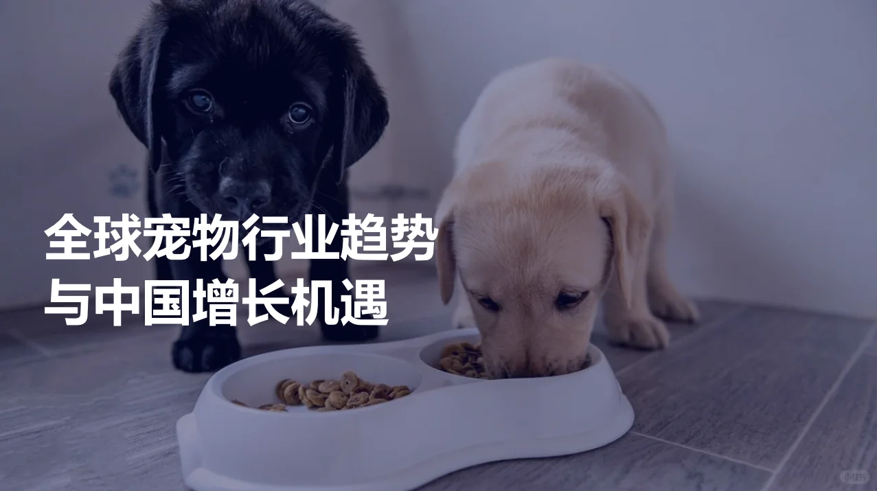 15份|2025年最新宠物行业研究报告合集