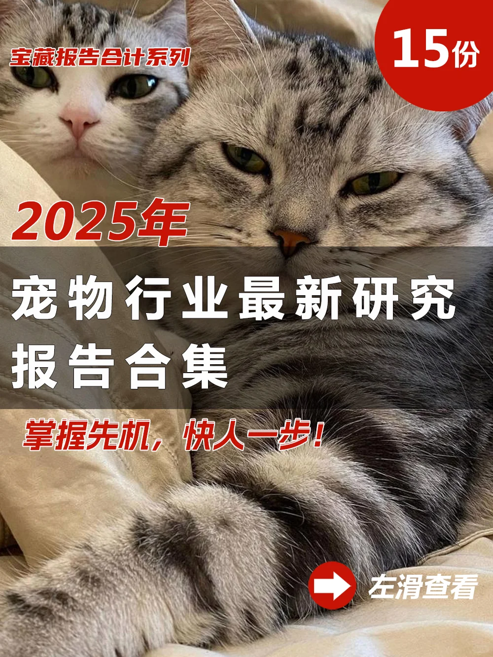 15份|2025年最新宠物行业研究报告合集