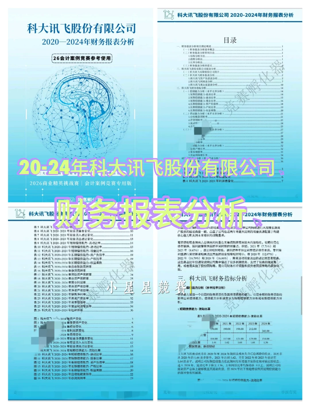 2026年最新版会计案例竞赛国一大礼包‼️
