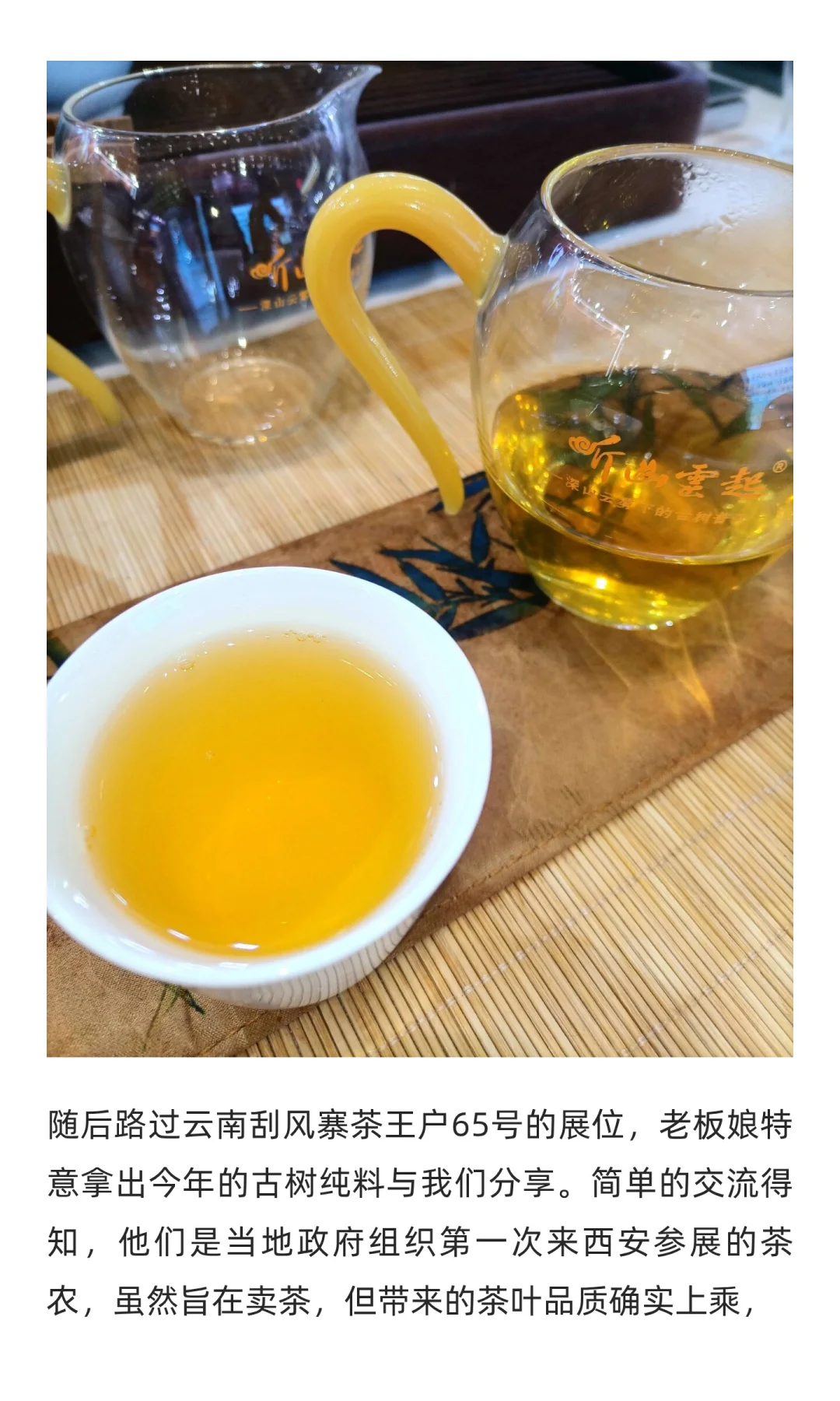 西安茶博会纪实