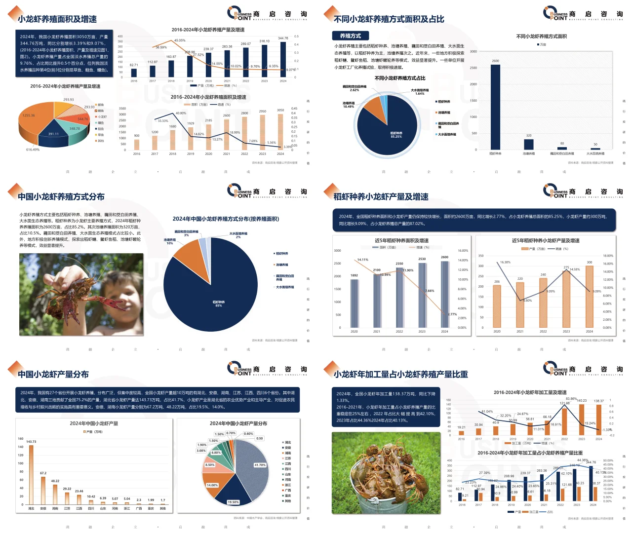 🔥 商启咨询 小龙虾行业研究报告