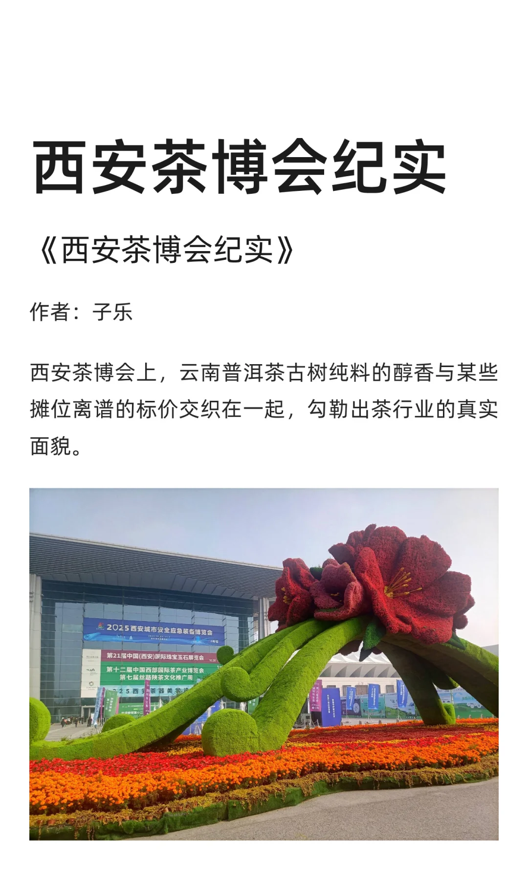 西安茶博会纪实