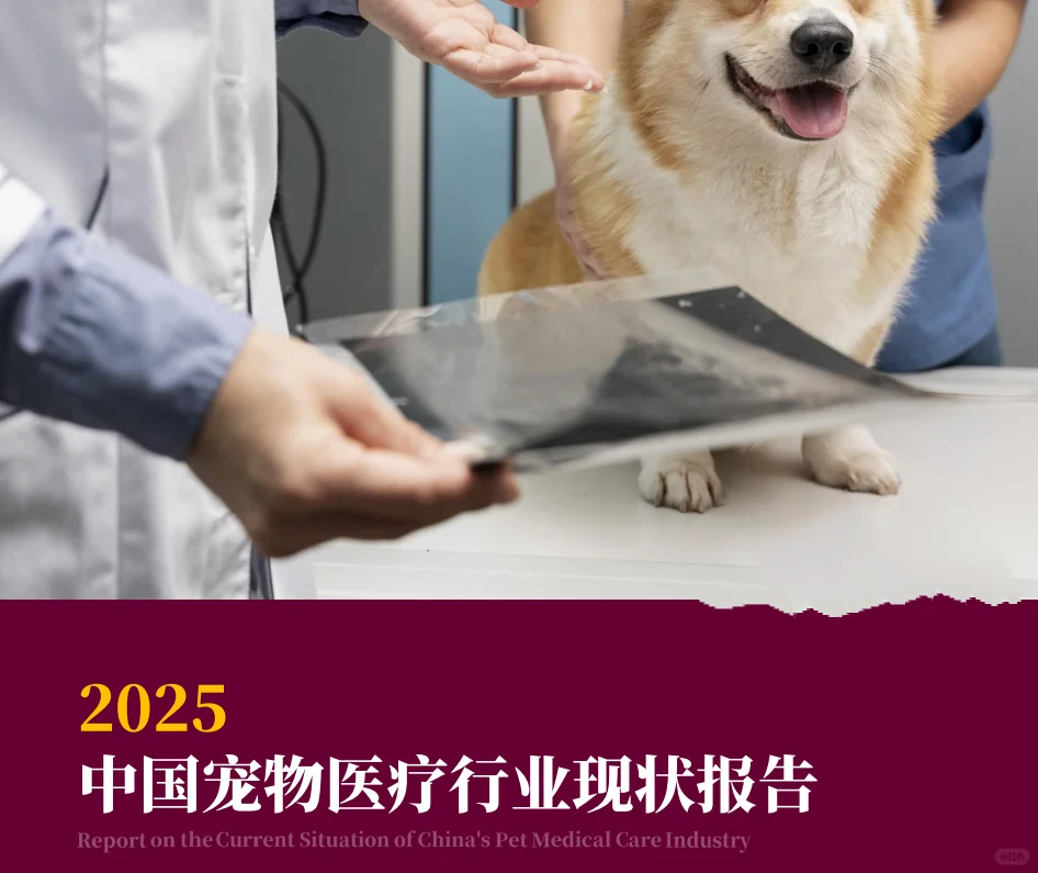 15份|2025年最新宠物行业研究报告合集