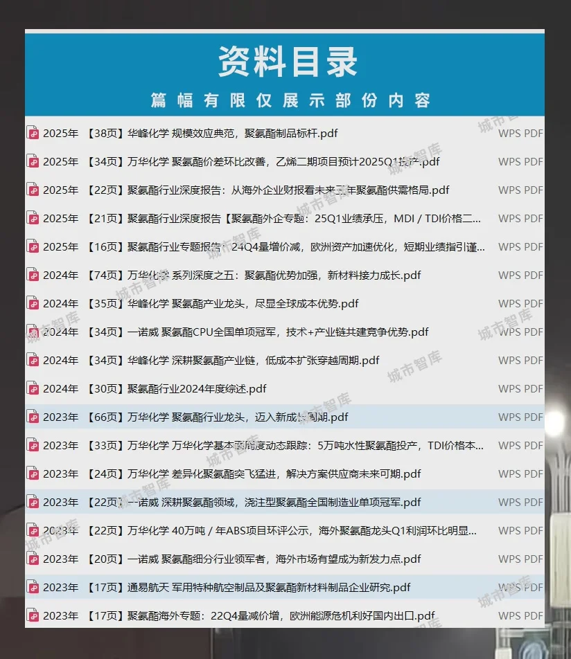 聚氨酯行业报告2025万华化学市场分析与产业