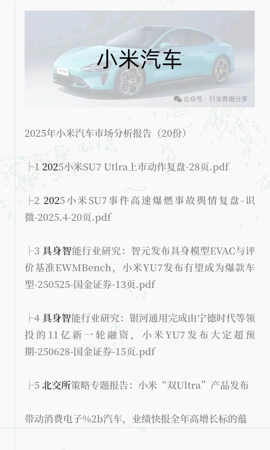 2025年小米汽车市场分析报告（20份）