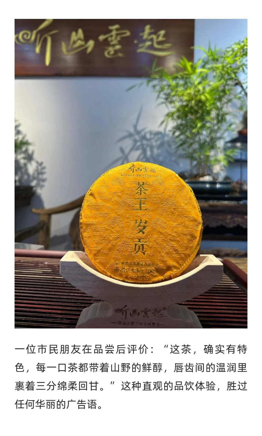 西安茶博会纪实