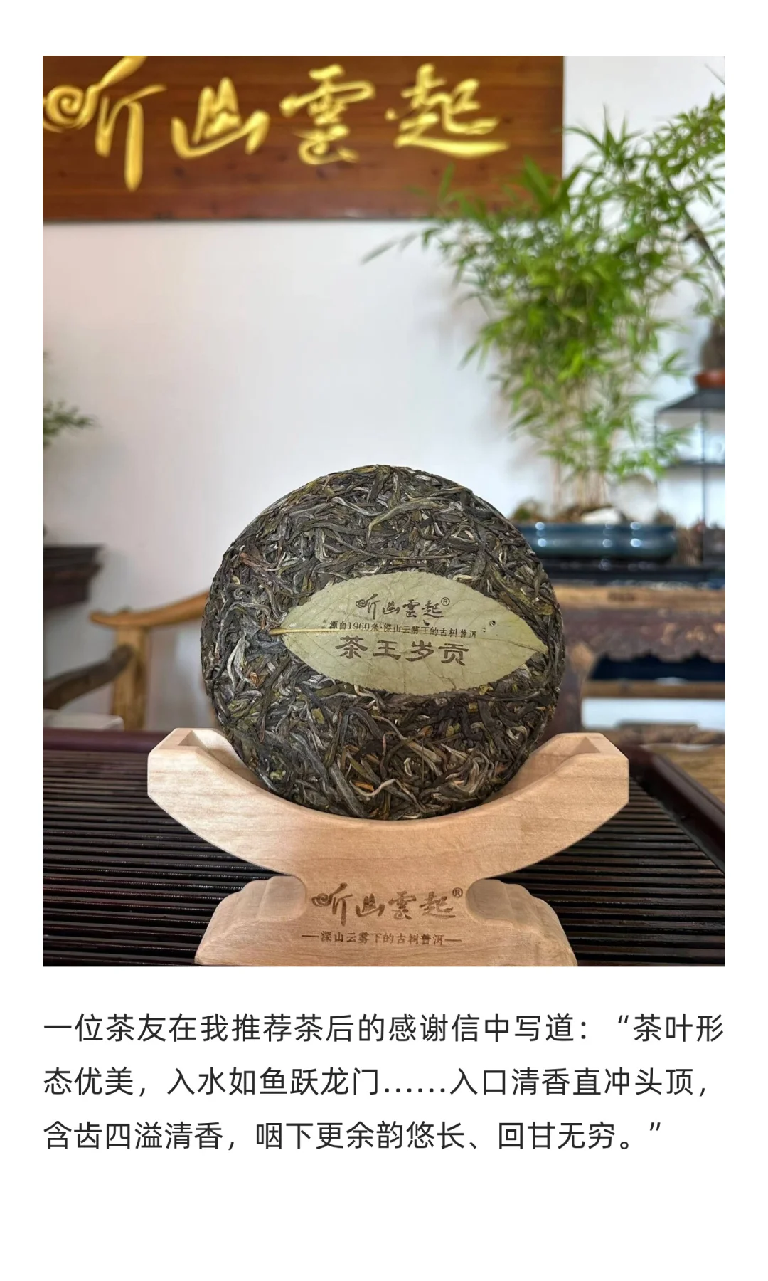 西安茶博会纪实