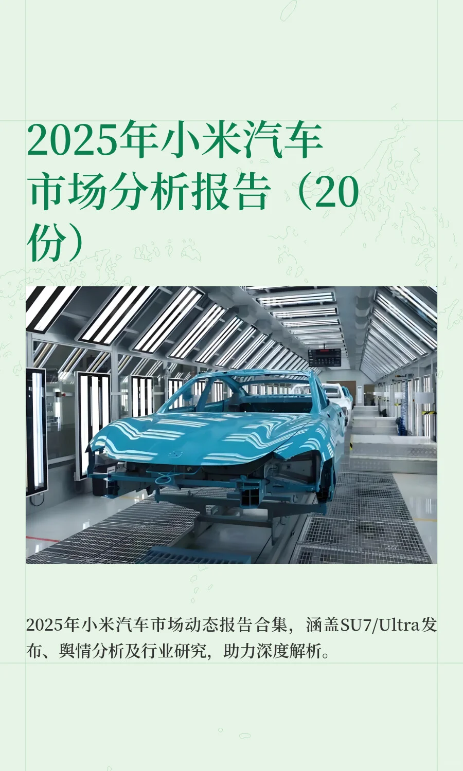 2025年小米汽车市场分析报告（20份）