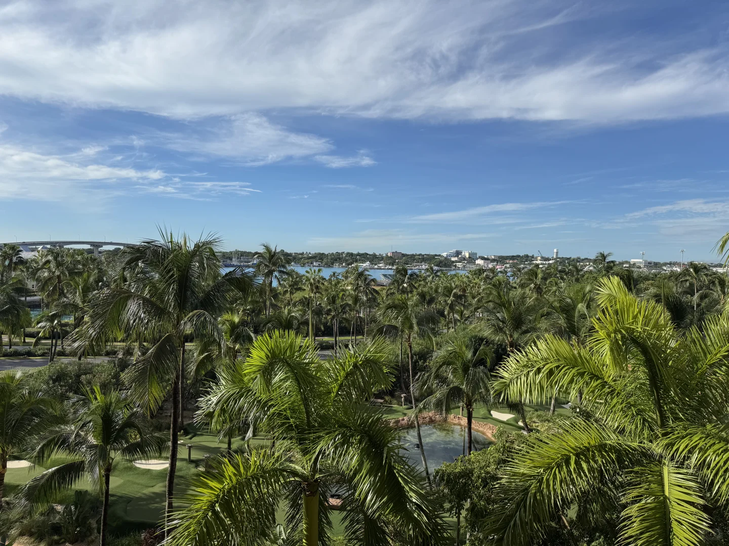 🌴【抵达第二天 · Atlantis Paradise Island