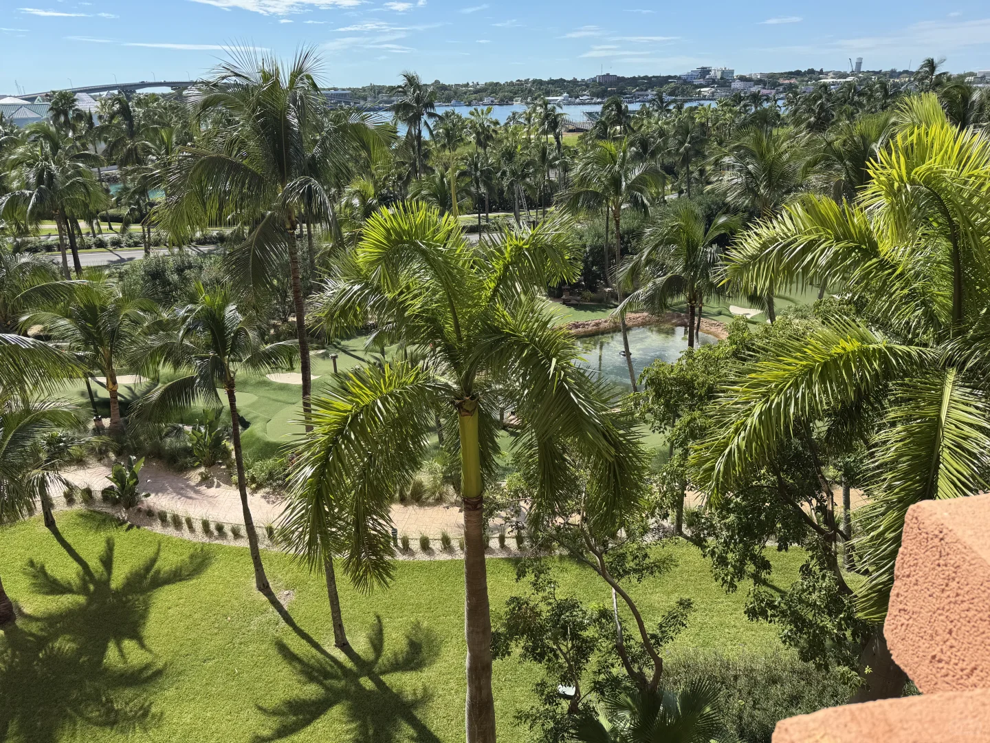 🌴【抵达第二天 · Atlantis Paradise Island