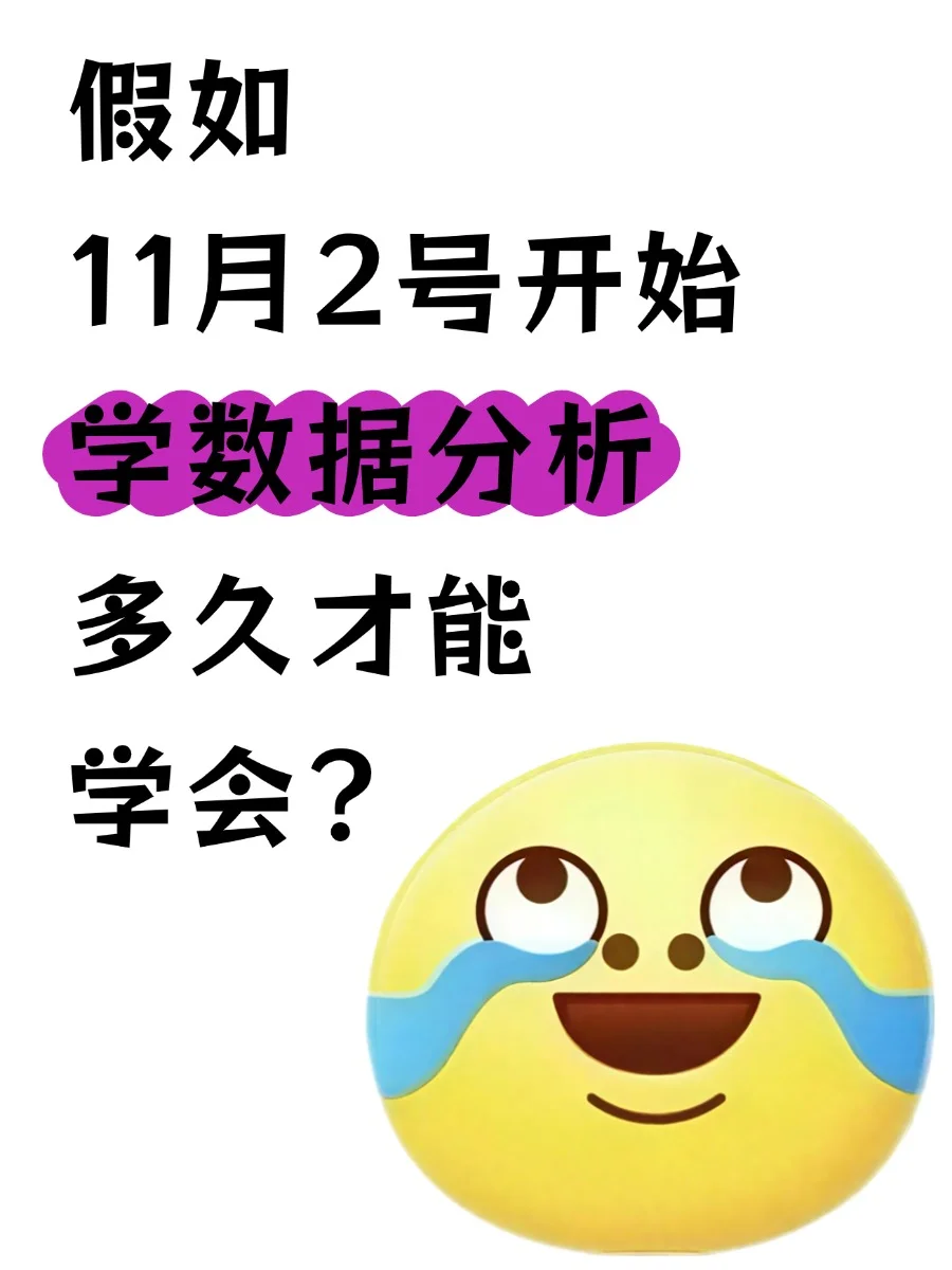 假如11月2号开始学数据分析多久才能学会