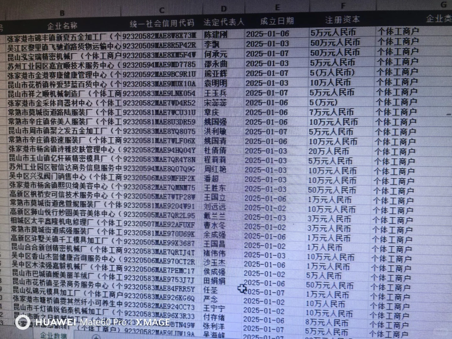 年报，年审数据