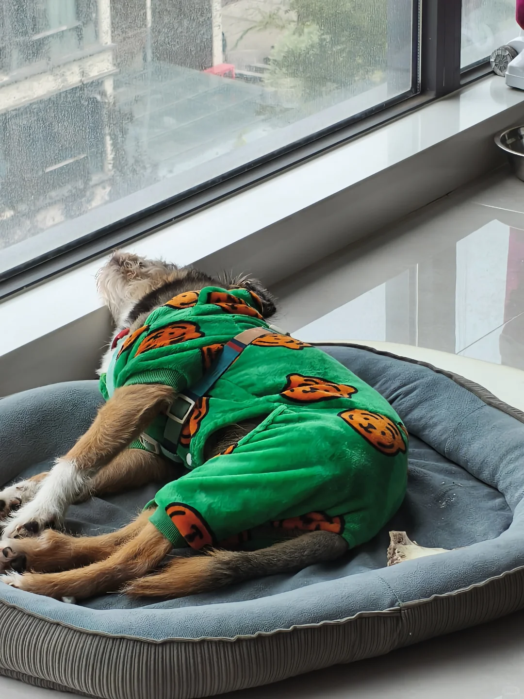 蹲头部券商开户经理！！