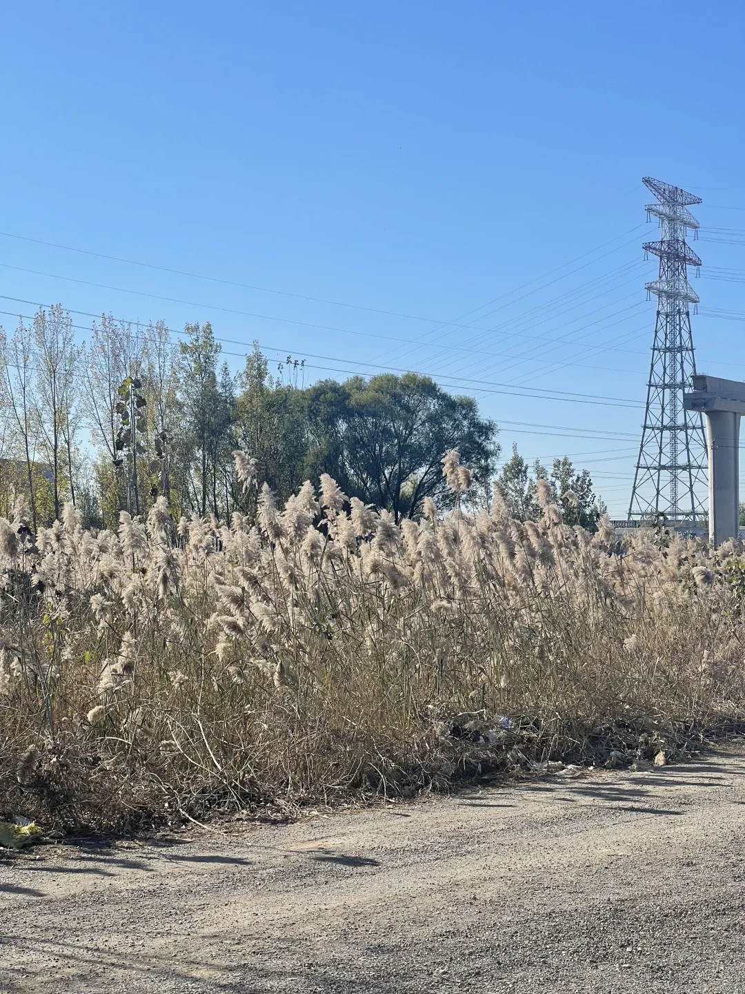 再见投行👋再见券商