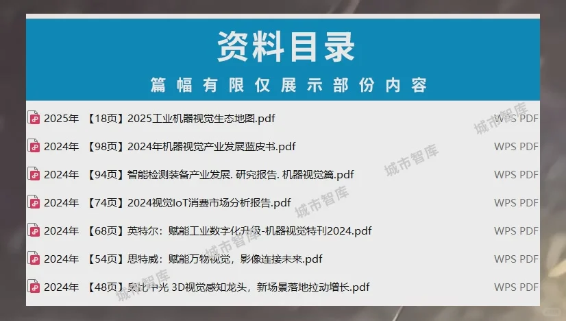 机器视觉报告工业产业链光学发展研究分析