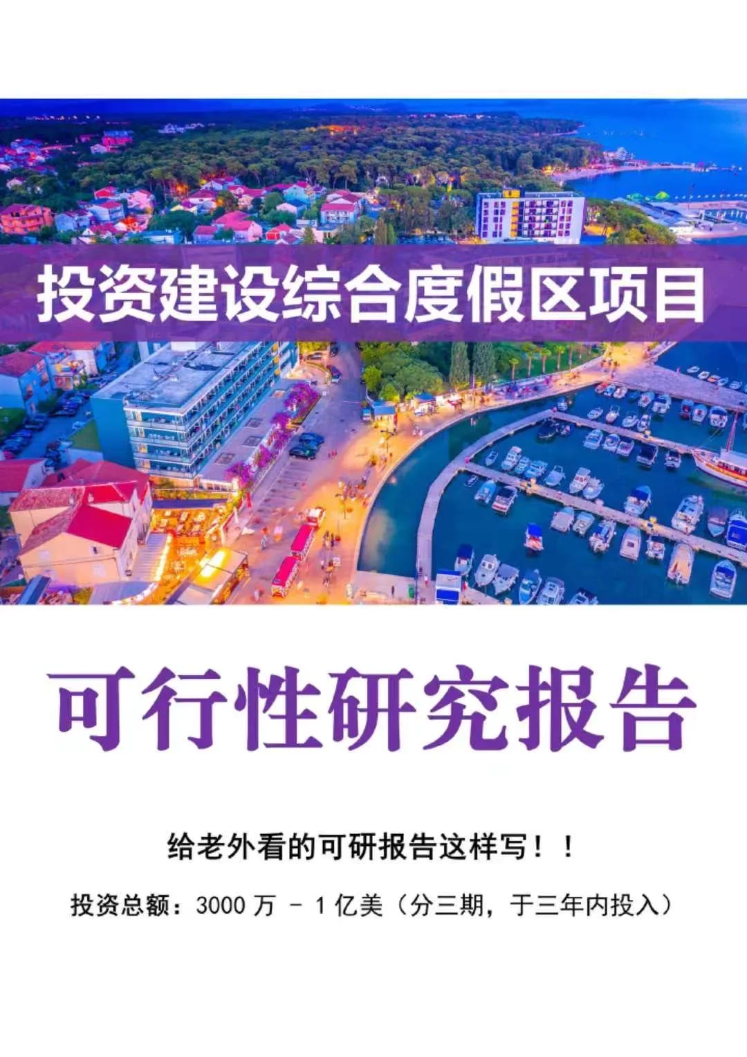 专业跨境版｜国外投资项目可行性研究报告