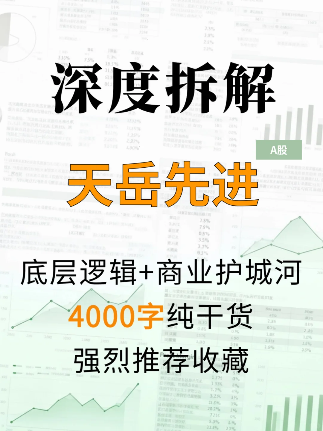 天岳先进 4000 字深度研报
