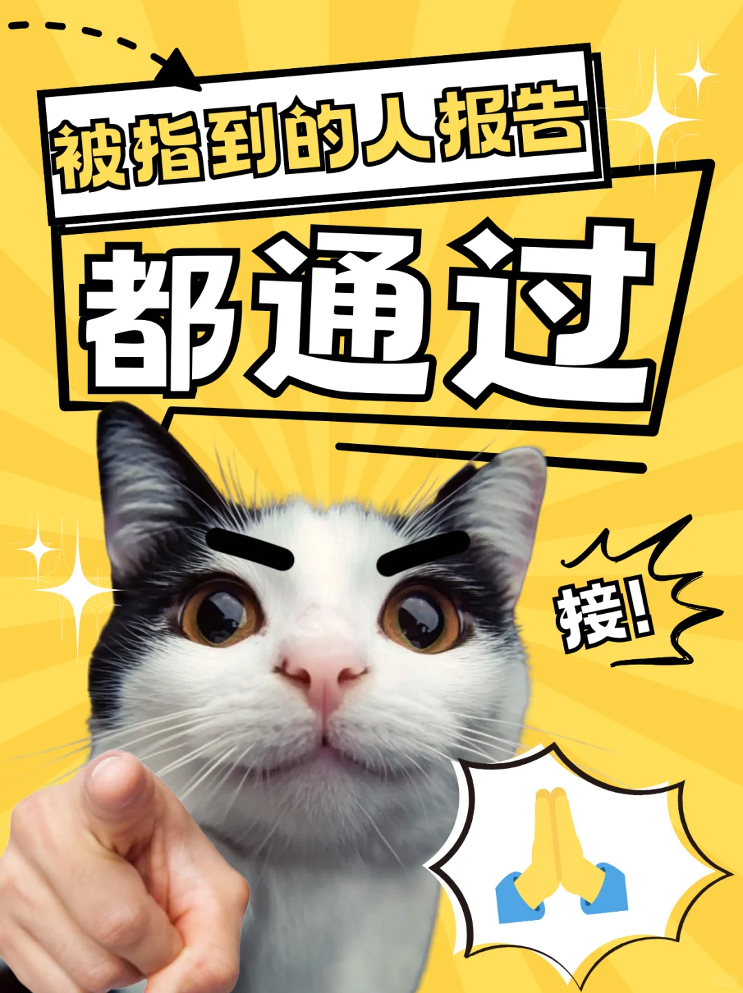 写报告找我！全行业业务都接！