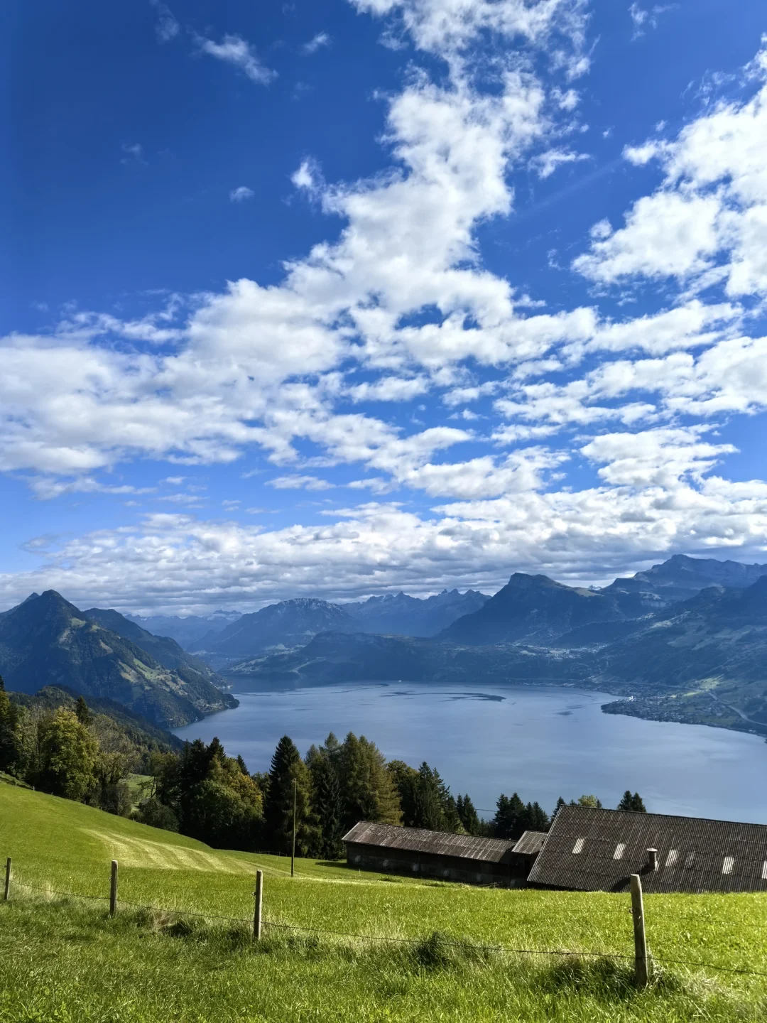 防御板块轮动继续，恒生医药迎来转机