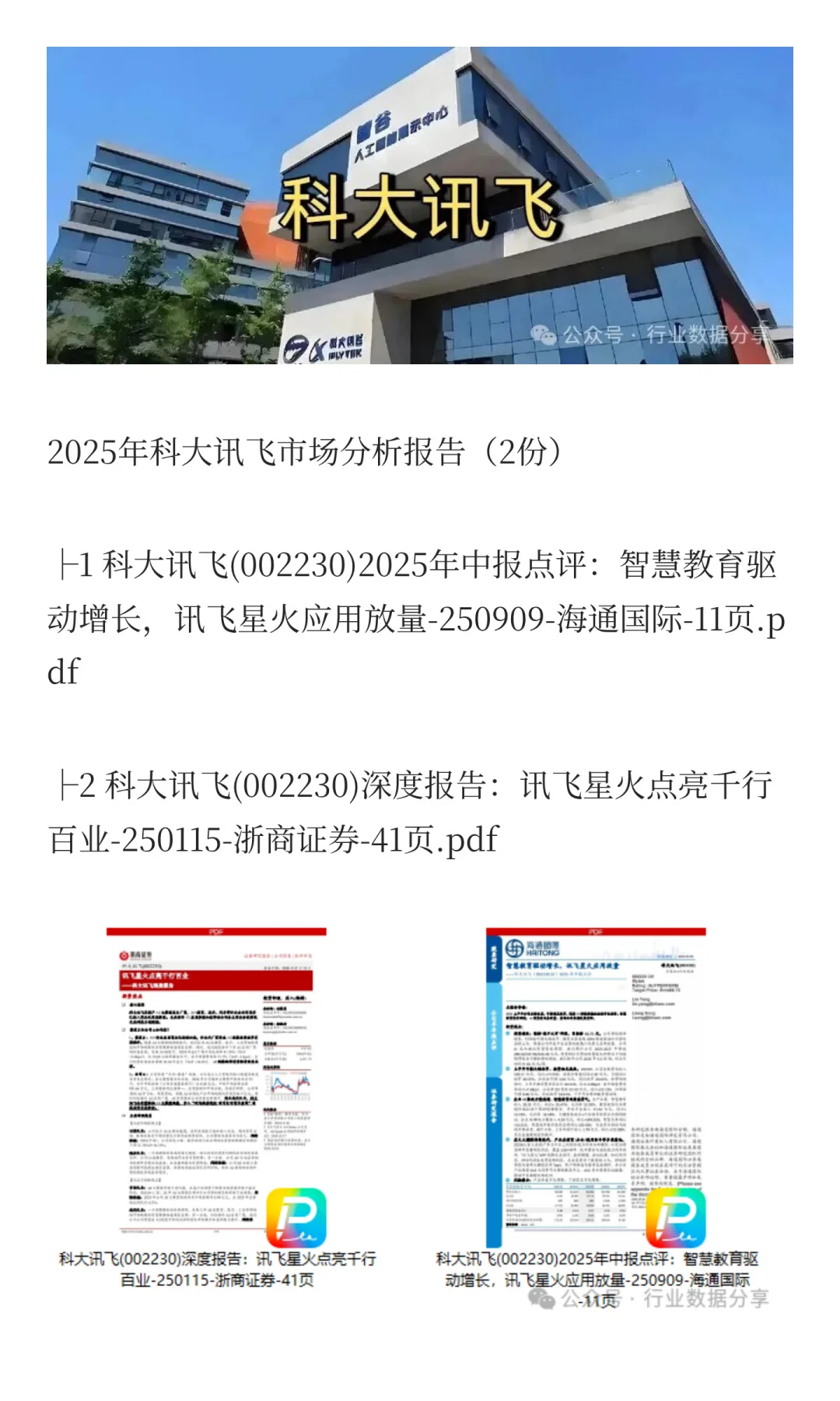 2025年科大讯飞市场分析报告（2份）