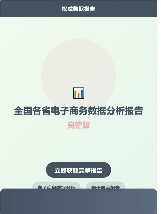 全国各省电子商务数据分析报告完整版