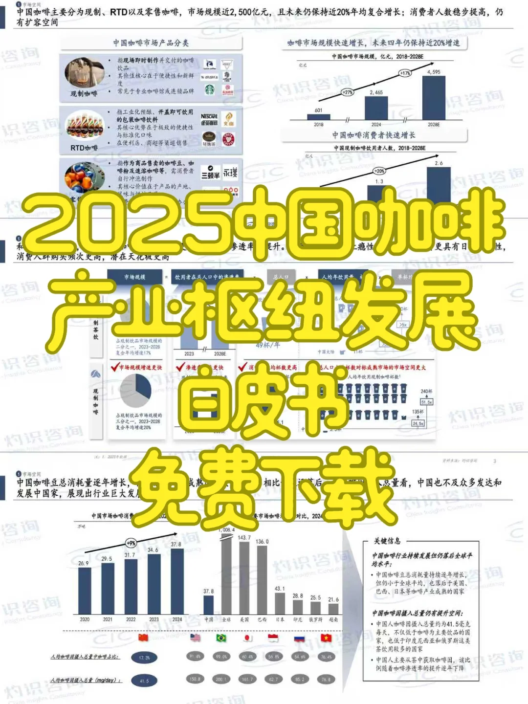 2025中国咖啡产业枢纽发展白皮书免费下载