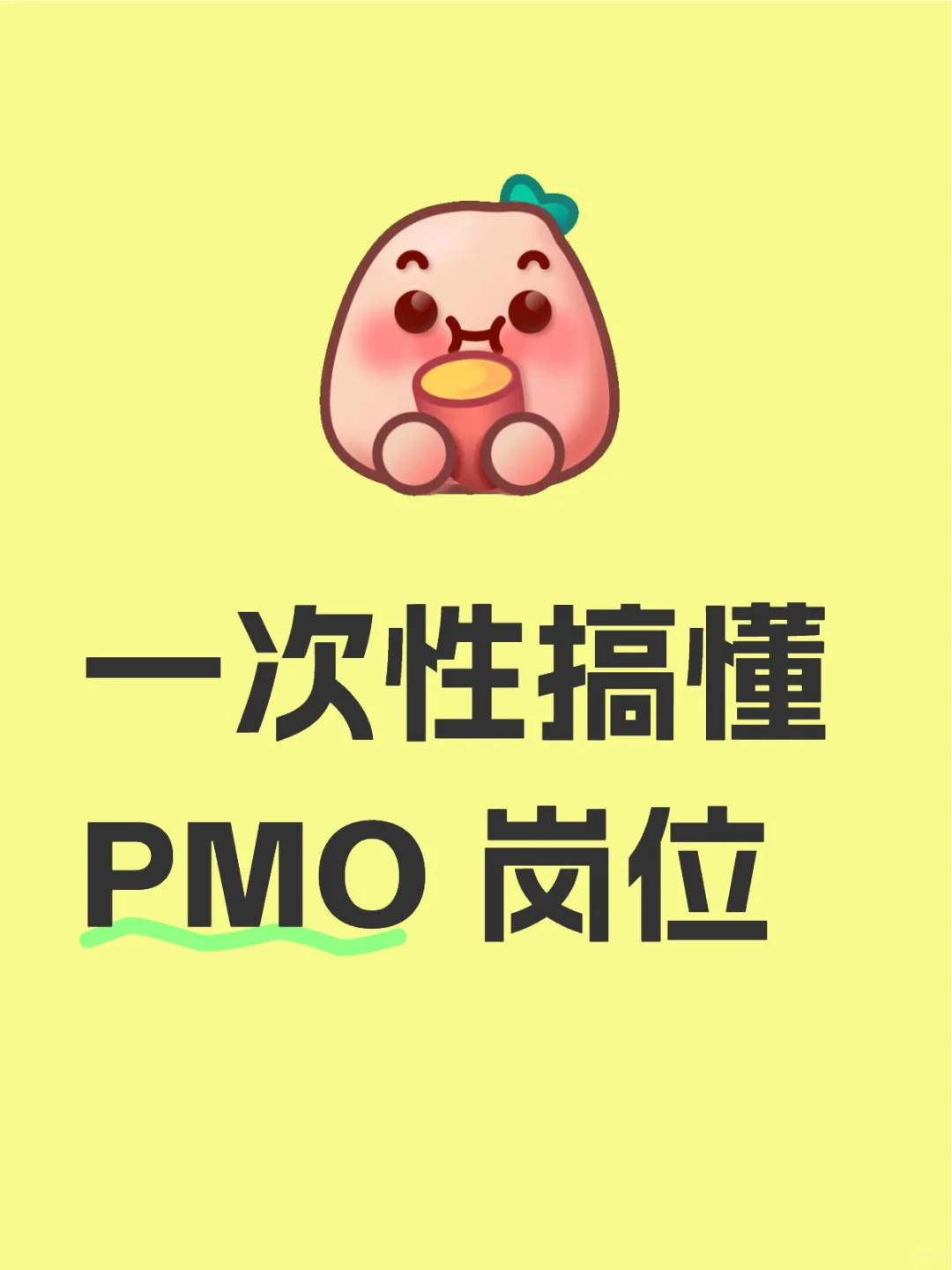 一次性搞懂 PMO 岗位