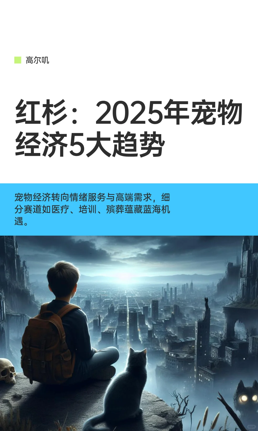 红杉：2025年宠物经济5大趋势
