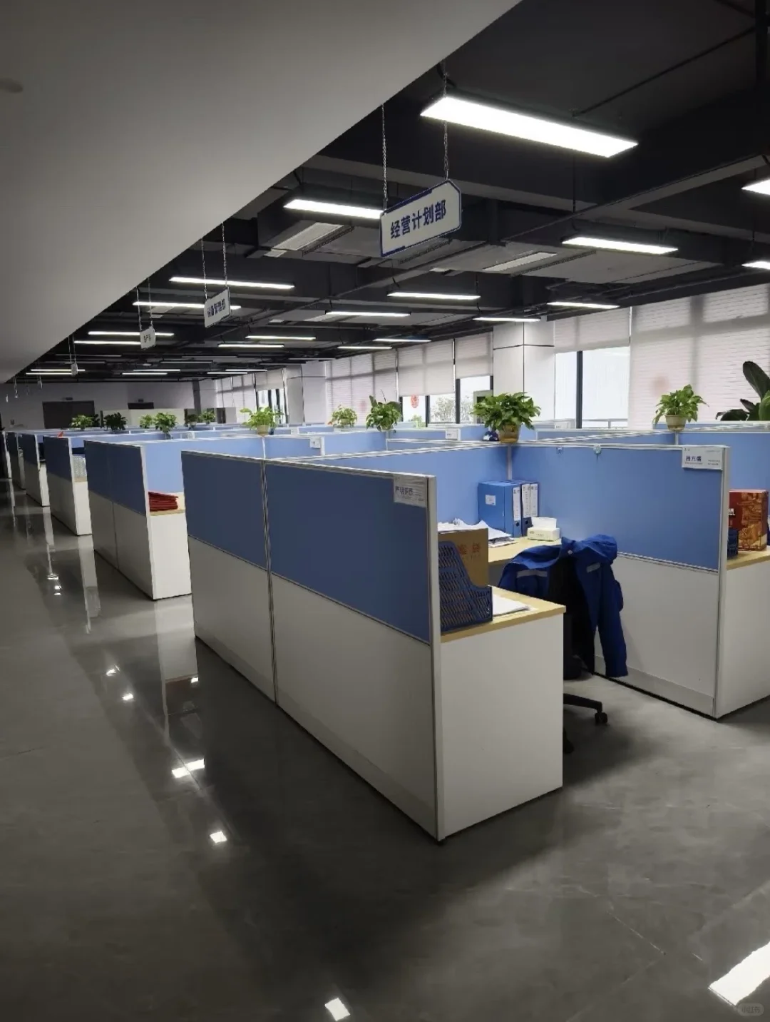 数据分析入职5个月，彻底烂掉！！！