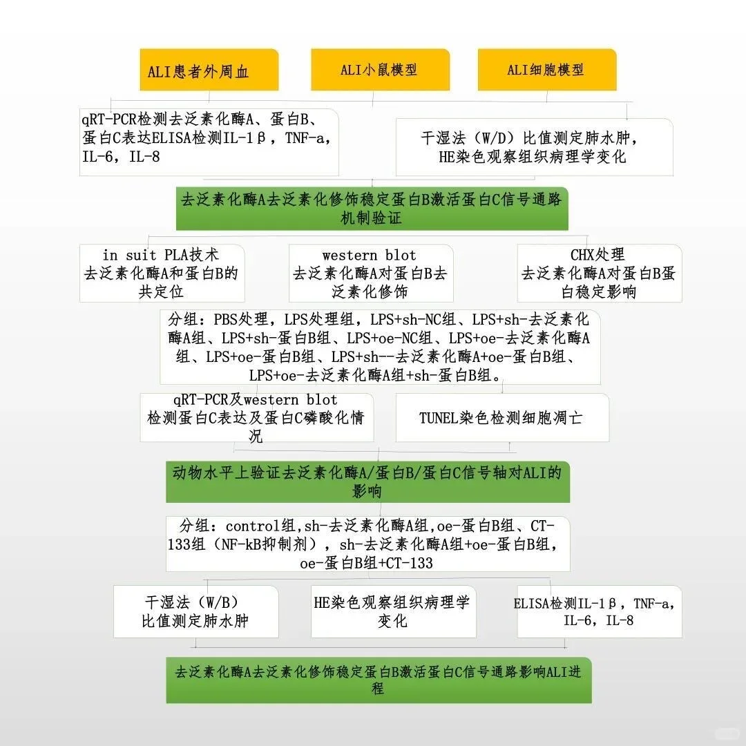 画技术路线图就是在淘汰老实人