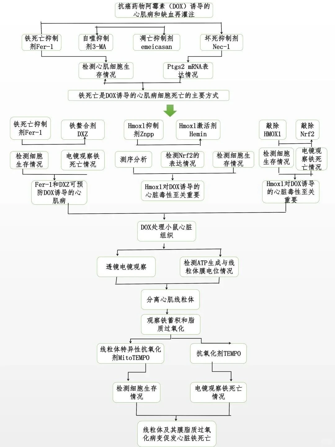 画技术路线图就是在淘汰老实人