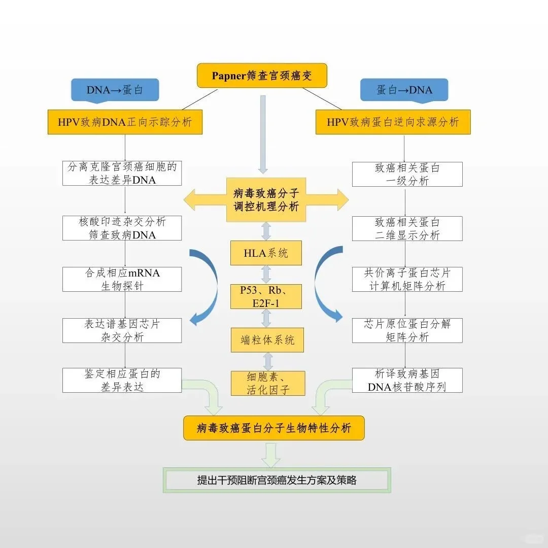 画技术路线图就是在淘汰老实人