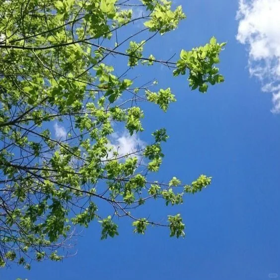 战略分析实习生-小红书社区（上海）