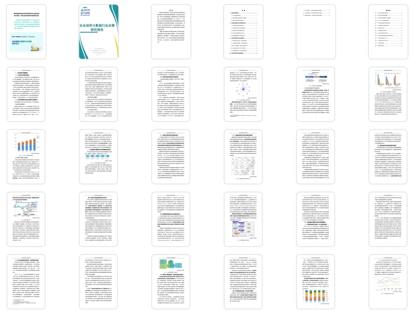 企业信用大数据行业发展研究报告-38页